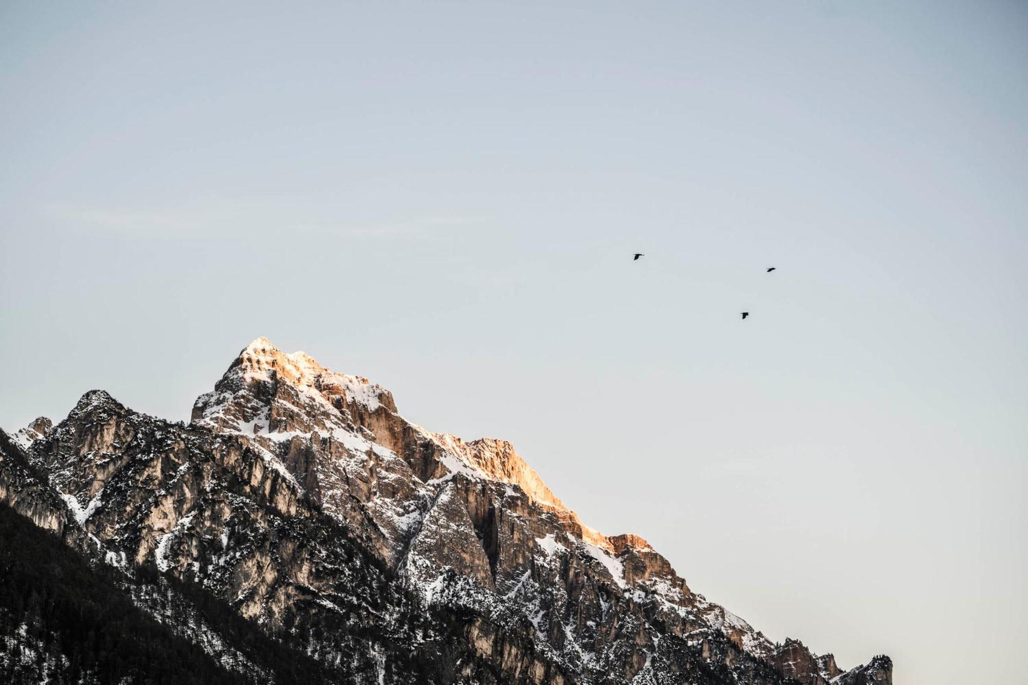 Excelsior Dolomites Life Resort 圣维吉利奥 外观 照片
